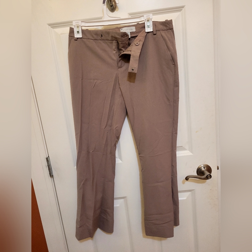 Dusty maroon/brown dress pants